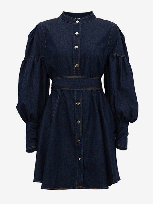 Denim Skater Dress Puff Sleeve Button-Up A-line Mini Dress For Women 2026