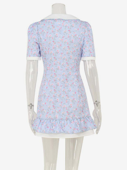 Floral Mini Dress For Women - Light Blue Cottagecore Peter Pan Collar Puff Sleeve Sundress - Summer Picnic Date Night 2026