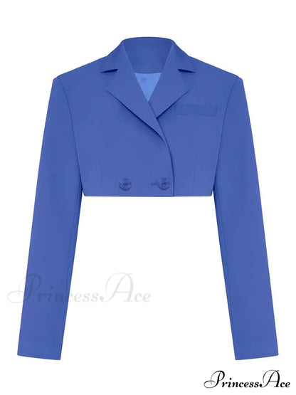 Cropped Blazer And Charming Pleated Mini Skirt Set