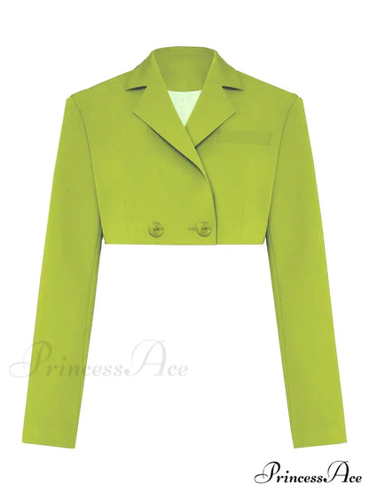 Cropped Blazer And Charming Pleated Mini Skirt Set