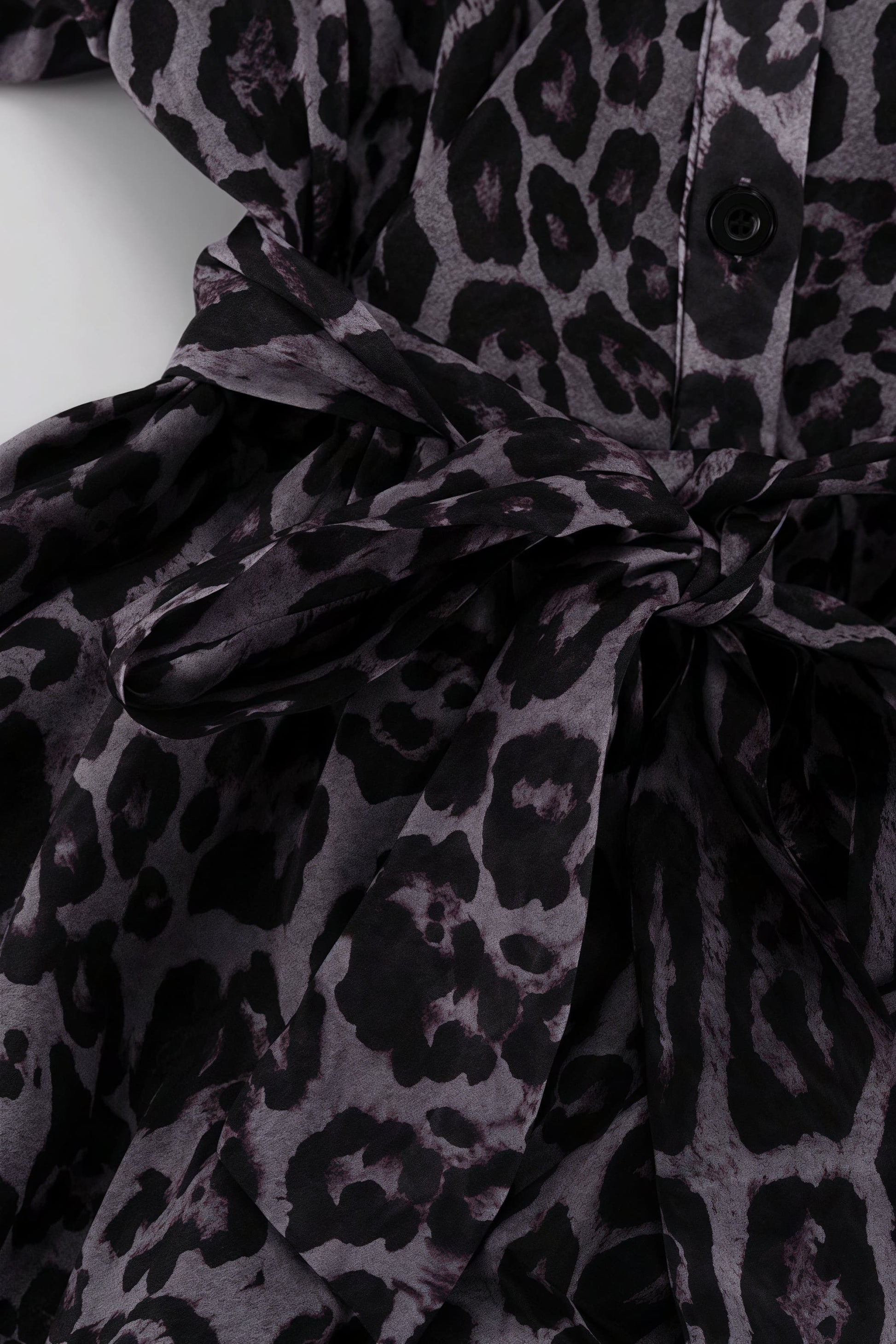 Chiffon Leopard Print Long Sleeve Mini Dress