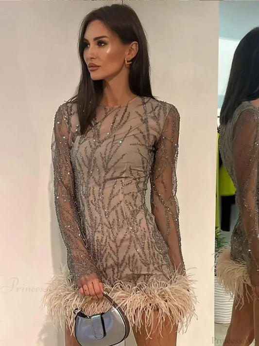 Feather Mesh Sheer Sleeve Party Dress